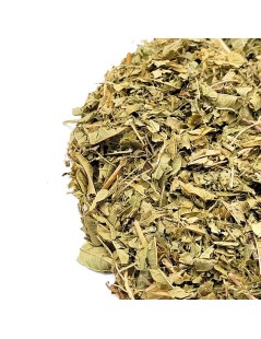 Lúcia-lima, Folhas (Aloysia citrodora) - Premium