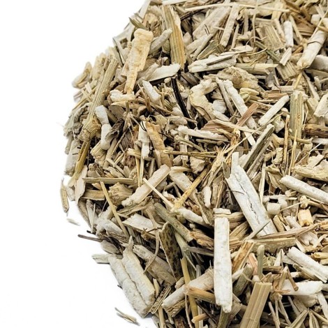 Un tè dalla pianta di Finocchio Foeniculum vulgare