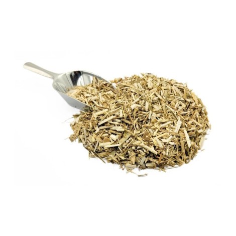 Un tè dalla pianta di Finocchio Foeniculum vulgare