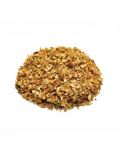 Jazmín Flores (Jasminum L.)