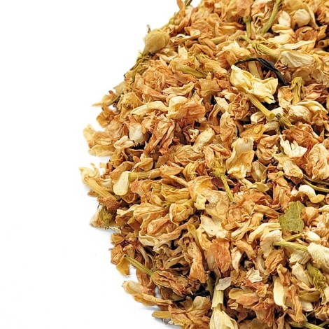 Blüten des Jasmins (Jasminum L.)