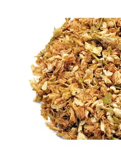 Jazmín Flores (Jasminum L.)