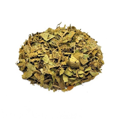 Gymnema Sylvestre, Foglie (Gymnema sylvestris)