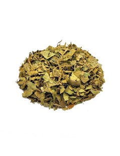 Gymnema Sylvestris Gurmar Tee