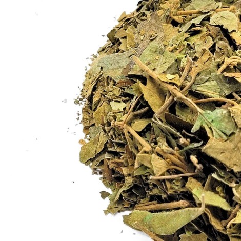 Gymnema Sylvestre Gurmar Herbal Tea
