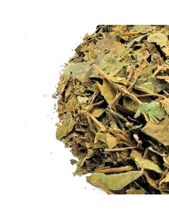 Gymnema Sylvestris Gurmar Tee