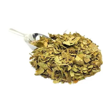Gimnema Sylvestre, Folhas ( Gymnema sylvestris)