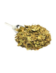 Gymnema Sylvestris Gurmar Tee