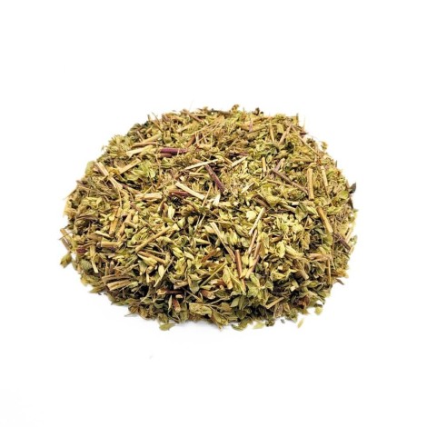 Origano, Pianta (Origanum Vulgare)