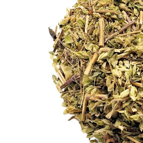 Oregano, Pflanze (Origanum Vulgare)