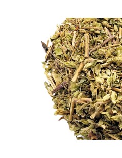 Oregano, Pflanze (Origanum Vulgare)