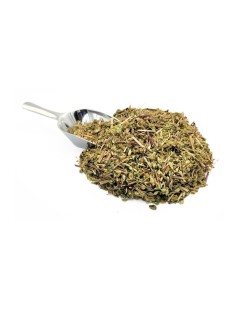 Oregano, Pflanze (Origanum Vulgare)