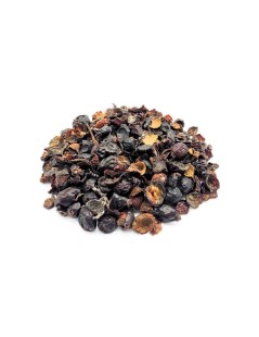 L'Églantier Cynorhodon fruit cassé (Rosa canina)