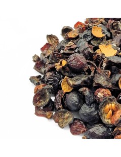 L'Églantier Cynorhodon fruit cassé (Rosa canina)