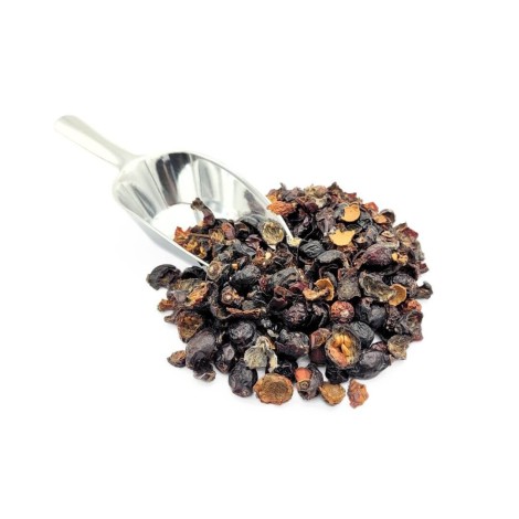 L'Églantier Cynorhodon fruit cassé (Rosa canina)