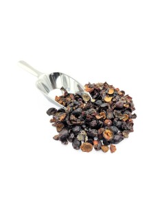 L'Églantier Cynorhodon fruit cassé (Rosa canina)