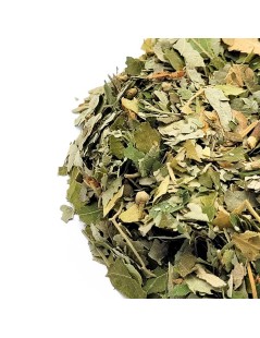 Linden Leaves Herbal Tea (Tilia Europaea L.)