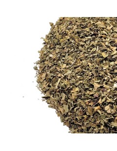 Basil leaves (Ocimum basilicum)