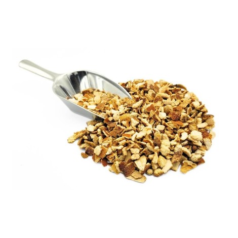 Laranja Amarga, Cascas (Citrus aurantium L.)