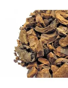 Garcínia Mangostana (frutti spezzati)