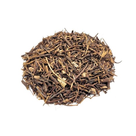 Salsepareille racine (Smilax officinalis L.)