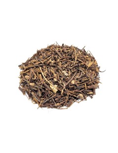 Salsepareille racine (Smilax officinalis L.)