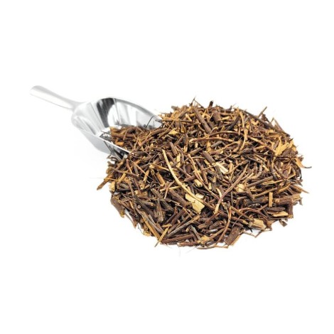 Zarzaparrilla raíz (Smilax officinalis L.)