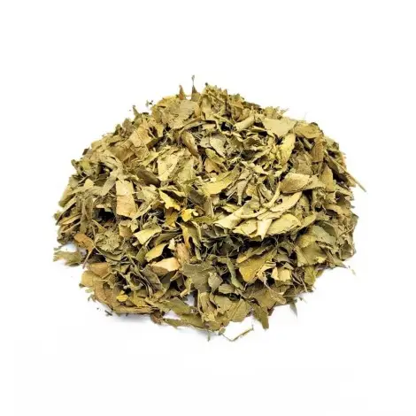 Foglie di Arancio (Citrus aurantium L.)