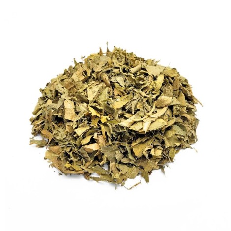 Orangenblätter (Citrus aurantium L.)