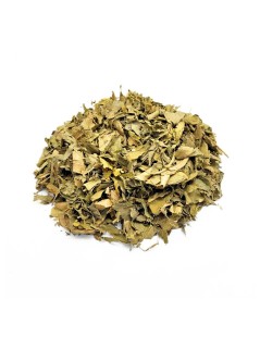 Orangenblätter (Citrus aurantium L.)