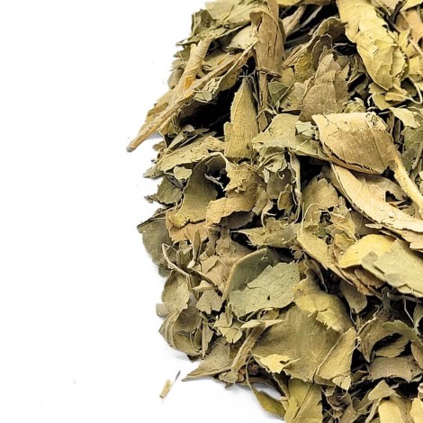 Feuilles d'Oranger (Citrus aurantium L.)