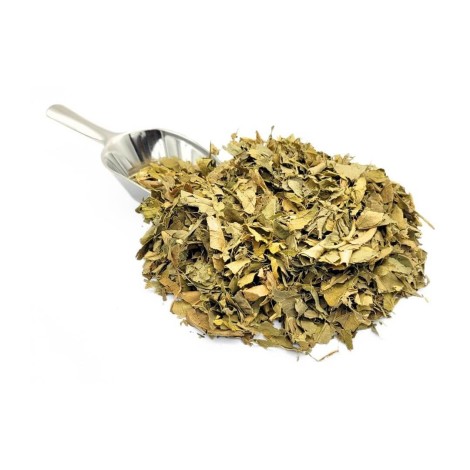 Feuilles d'Oranger (Citrus aurantium L.)