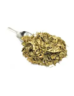 Orange Leaves Herbal Tea (Citrus aurantium L.)