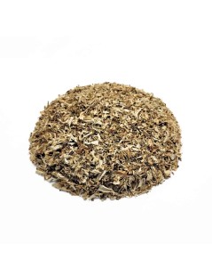 Isländisch Moos  – Natürliche Linderung bei Husten und gereiztem Hals