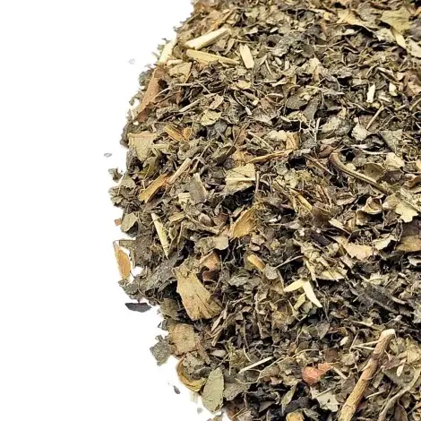 Tisana di Amamelide – Benefici per la Pelle, la Circolazione e il Benessere