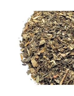 Tisane d’Hamamélis – Bienfaits pour la Peau, la Circulation et le Bien-Être