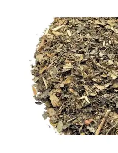 Té de Hamamelis – Beneficios para la Piel, la Circulación y el Bienestar