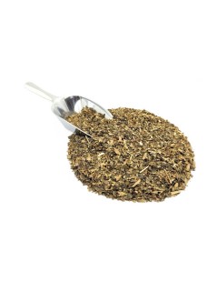 Tisane d’Hamamélis – Bienfaits pour la Peau, la Circulation et le Bien-Être