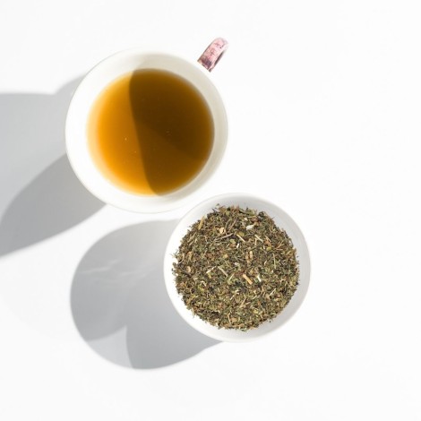 Pissenlit, Plante (Taraxacum officinale L.)