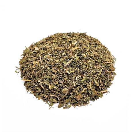 Dente de Leão, Planta (Taraxacum officinale L.)