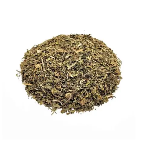 Diente de León, Planta (Taraxacum officinale L.)