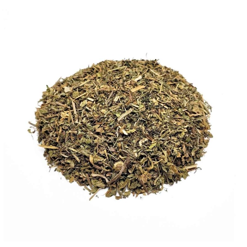 Löwenzahn-pflanze (Taraxacum officinale L.)