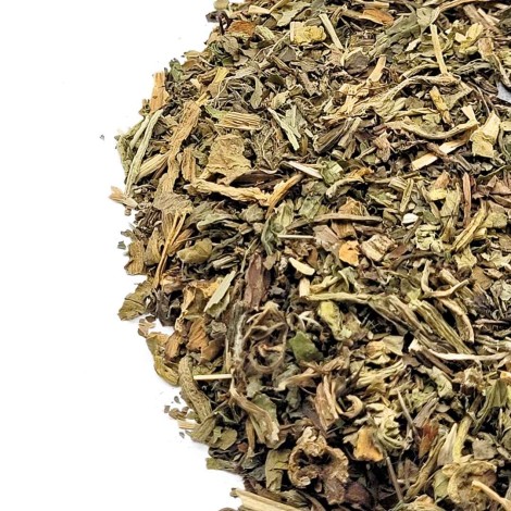 Dente de Leão, Planta (Taraxacum officinale L.)