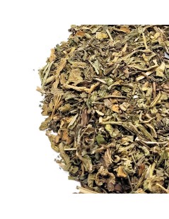 Dandelion Herbal Tea (Taraxacum officinale L.)