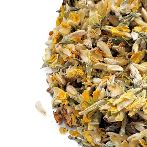 Gorse Flower Herbal Tea (Pterospartum tridentatum)