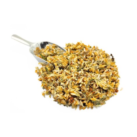 Gorse Flower Herbal Tea (Pterospartum tridentatum)