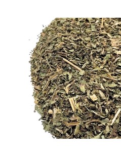 Cidreira, Folhas (Melissa officinalis L.)