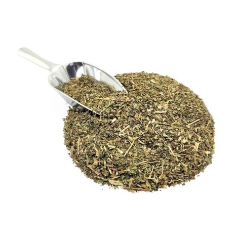 Lemon Balm Herbal Tea (Melissa officinalis L.)