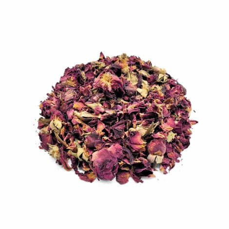 Rose Pétales (Rosa L.)