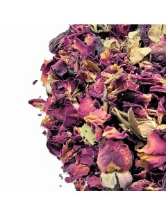 Rose Tea Petals (Rosa L.)